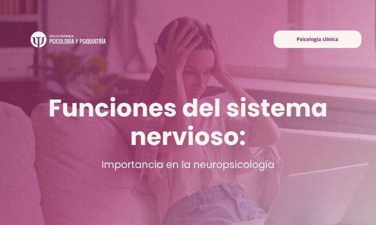 Funciones del sistema nervioso: su importancia en la neuropsicología